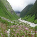 Chardham With Valley Of Flower Package
