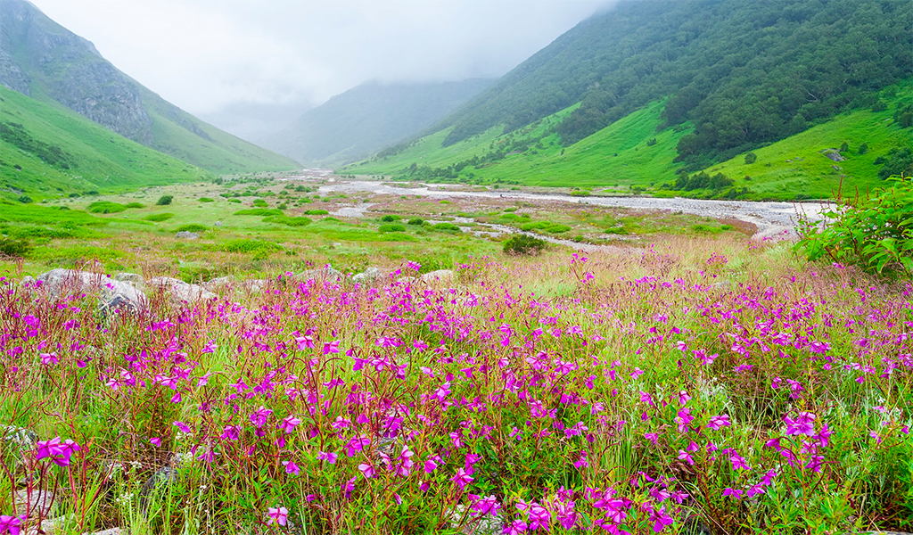 badrinath valley