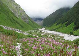 Chardham With Valley Of Flower Package